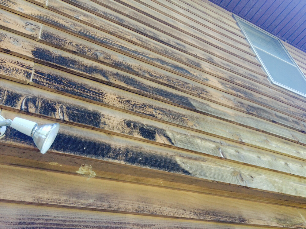 Cedar Siding Residential Pressure Washing Resource