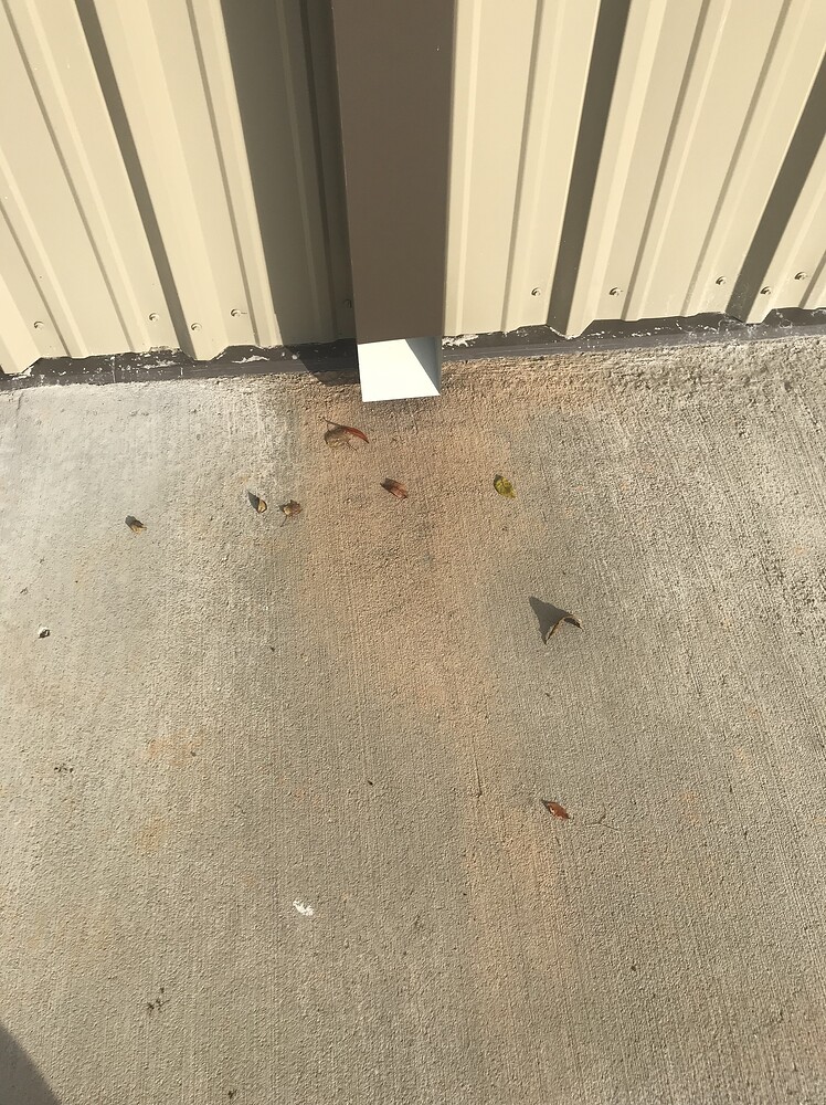 New concrete turned brown? HELP PLEASE! - #7 by Rusty - Stains/Surfaces ...