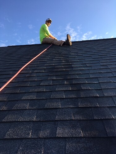 Grizz%20on%20roof1