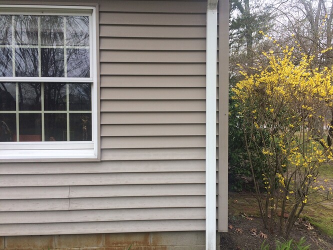 bleached%20siding