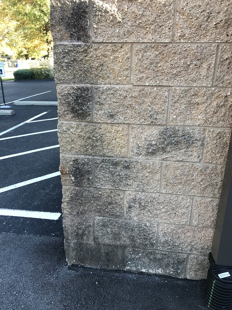 Black stain on concrete block - Stains/Surfaces - Pressure Washing Resource