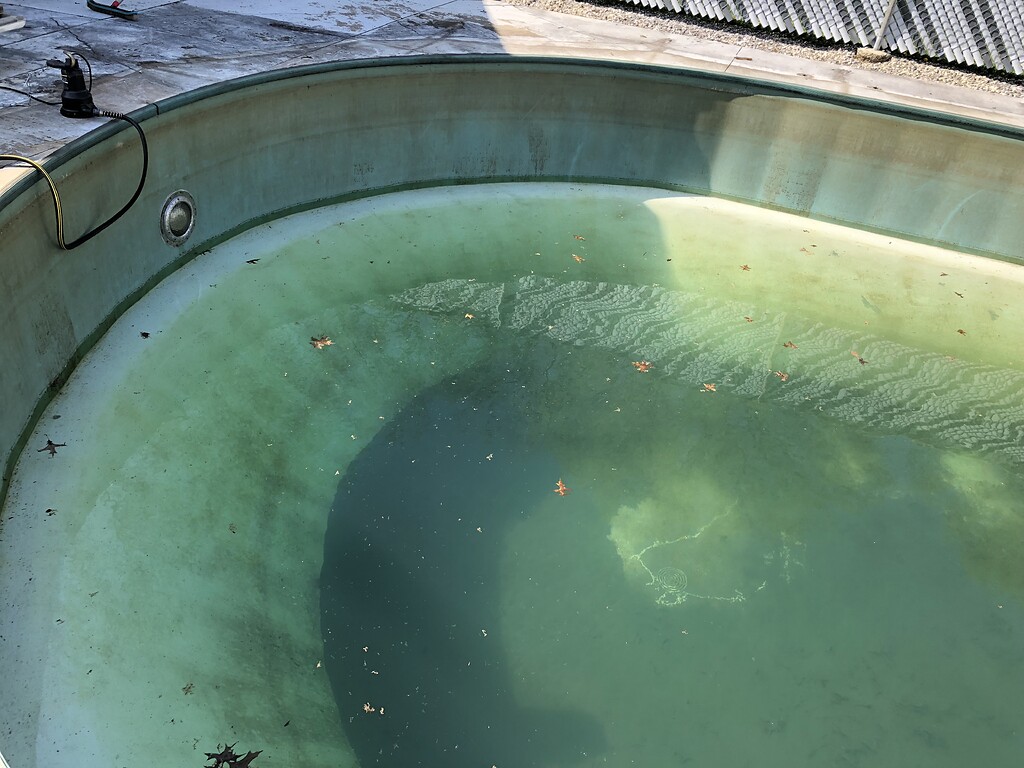 Fiberglass pool walls Add On Services Pressure Washing Resource