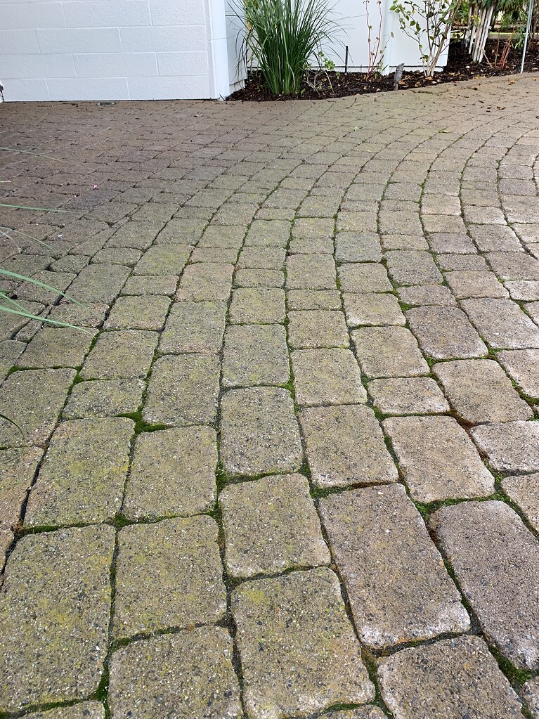 Removing moss inbetween pavers Residential Pressure Washing Resource