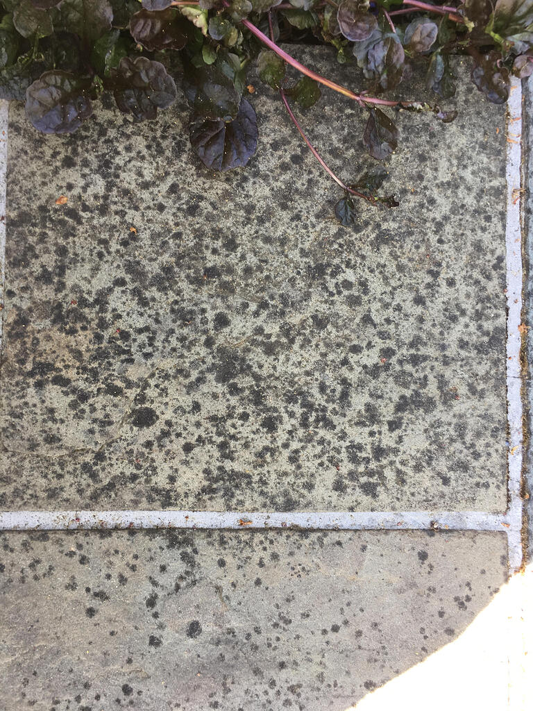 Help with bluestone Stains/Surfaces Pressure Washing Resource