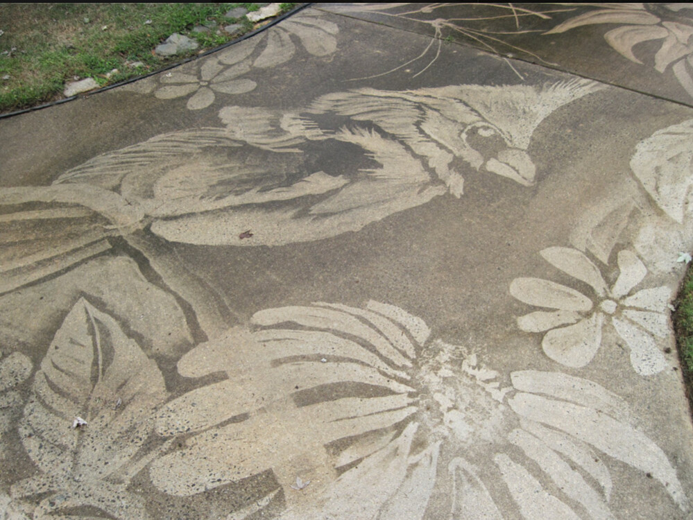 Pressure washer skills - Way Off Topic - Pressure Washing Resource