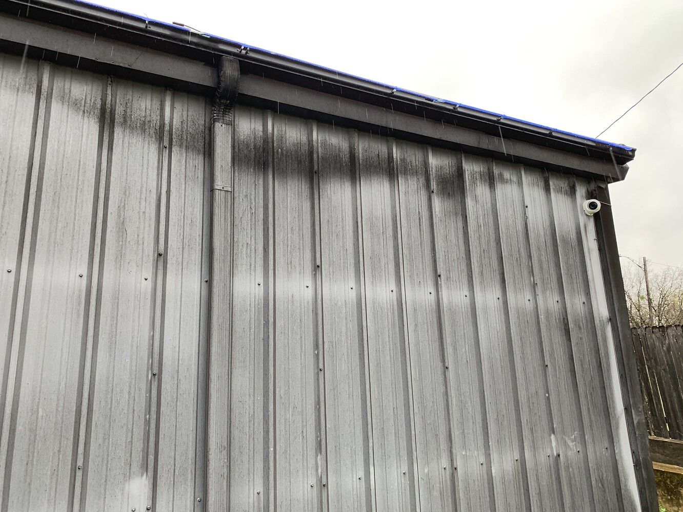 Mold on metal siding Newbie Questions Pressure Washing Resource