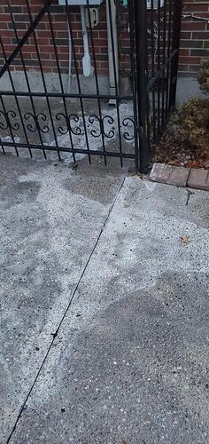Resized_Resized_Resized_20220519_204757
