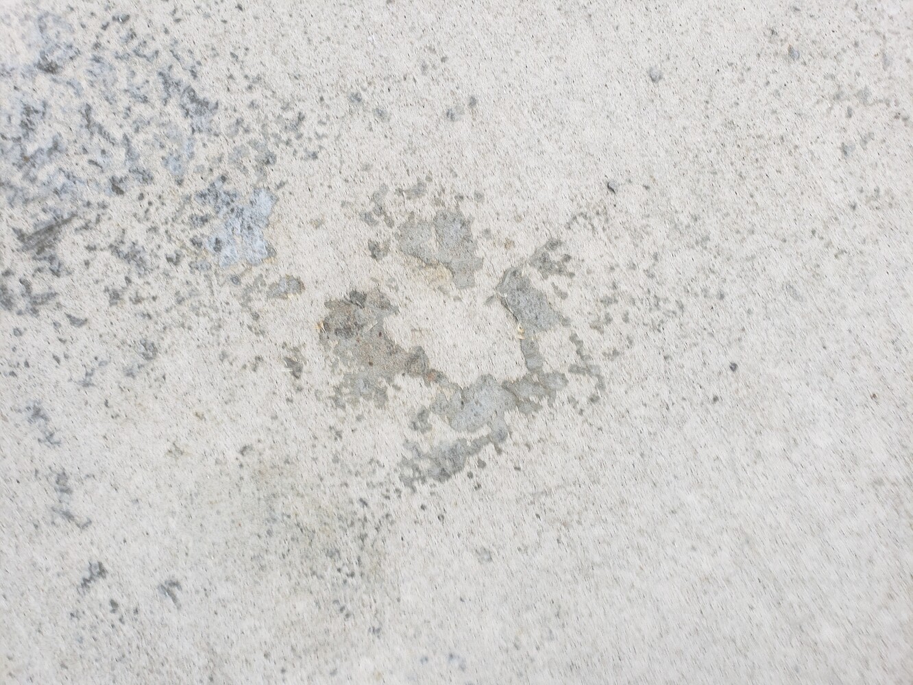 Porcelain Concrete smear - Residential - Pressure Washing Resource