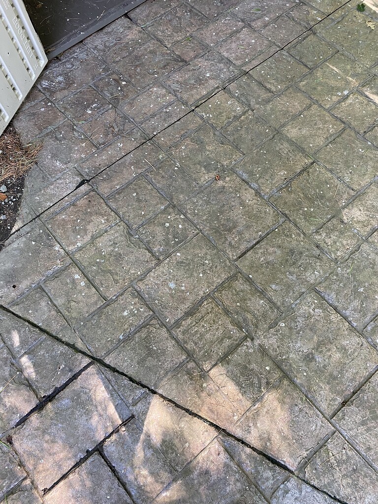 Tree sap on stamped concrete Pressure Washing Resource