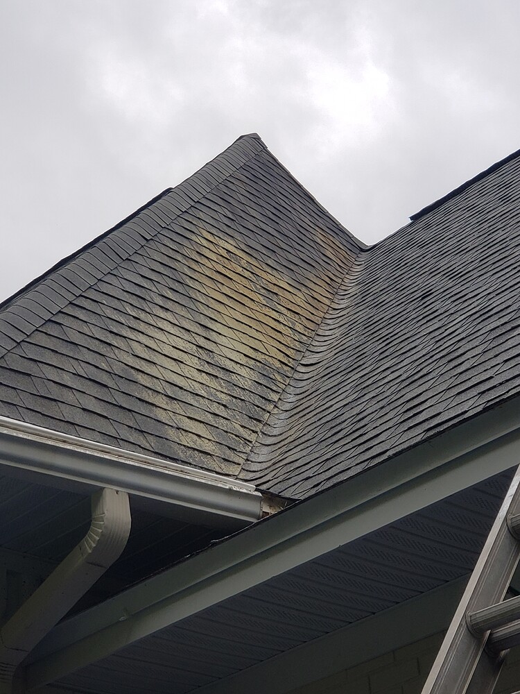 Orange stains on roof Pressure Washing Resource
