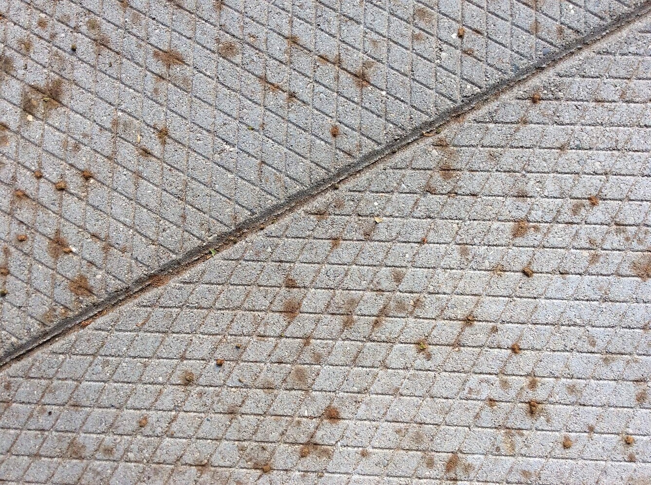 Moth poop staining? Residential Pressure Washing Resource