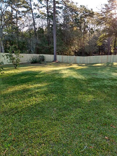 IMG_20200307_072318351_HDR