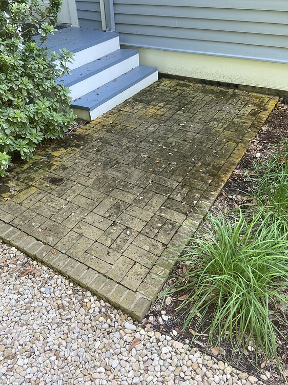 Heavy Algae Brick Pavers Residential Pressure Washing Resource