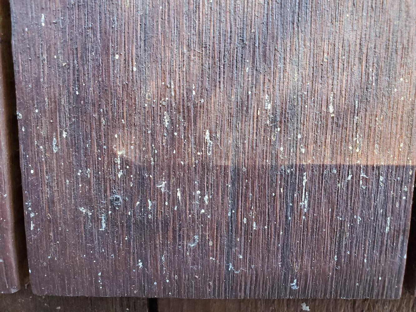 Need help identifying white spots on shingle siding! Wood Restoration