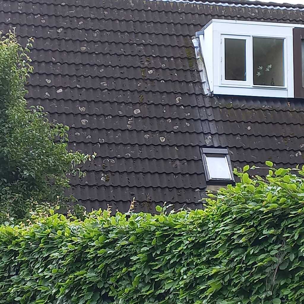 Hello. How to clean roofs with these kind of white blemishes/marks ...