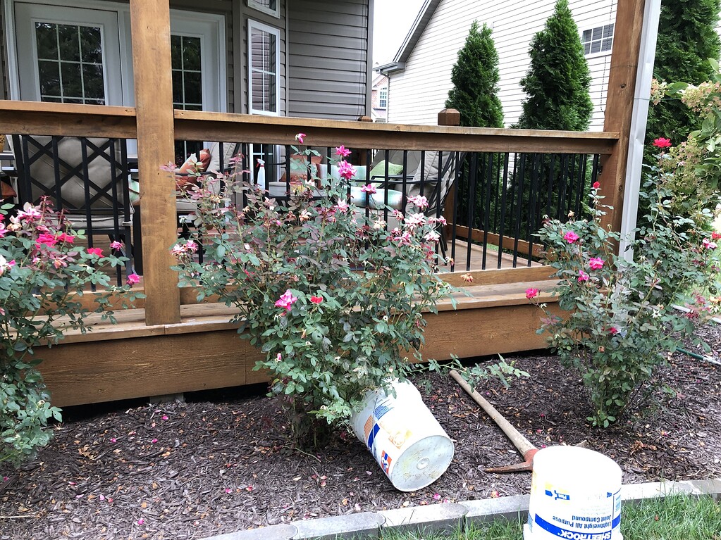 Sodium hydroxide and metal spindles on a deck Newbie Questions Pressure Washing Resource