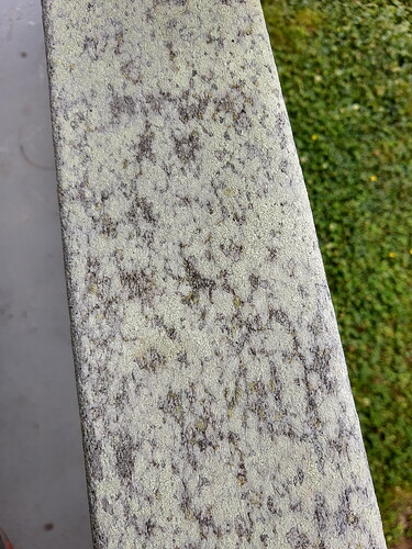 IMG_20210627_143047034_HDR