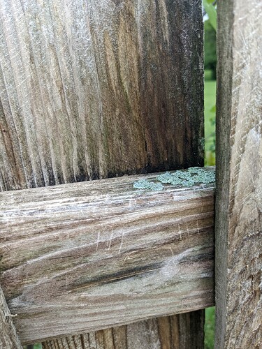 PXL_20220425_201525244.MP