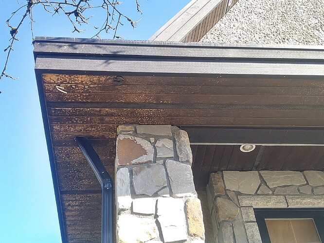 IMG_20200311_150646566_HDR