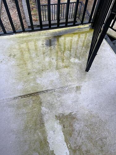 IMG-20250329-WA0015