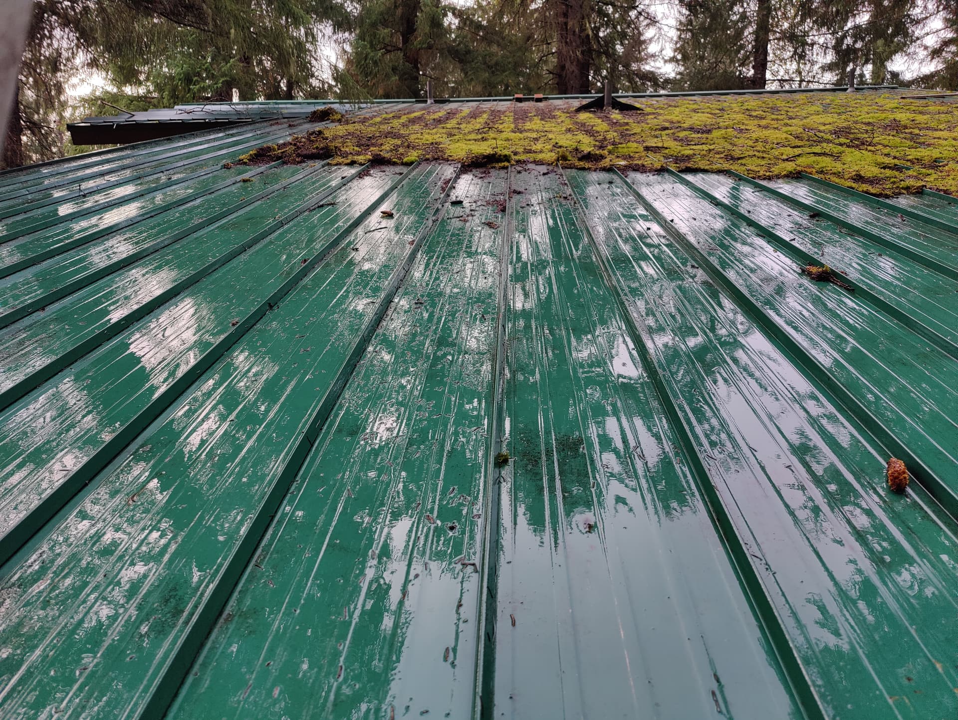 Any good temporary roof harness systems? - Roof Cleaning