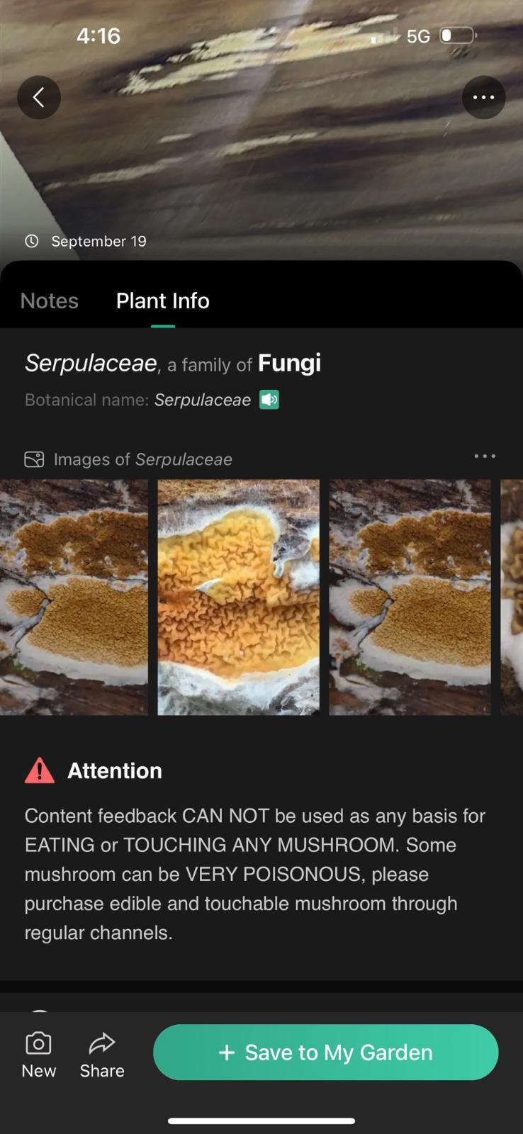 Serpulaceae & SH? Pressure Washing Resource