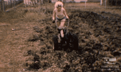 giphy%20(1)