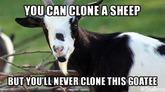 clone-a-sheep-goatee-meme