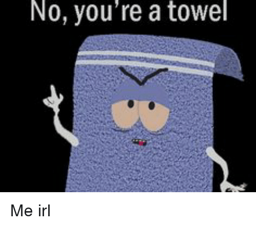 no-youre-a-towel-me-irl-14077454